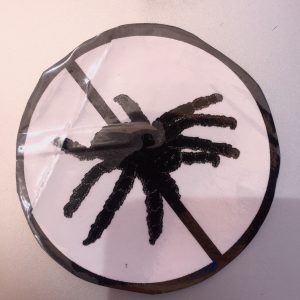 No Tarantula Sticker